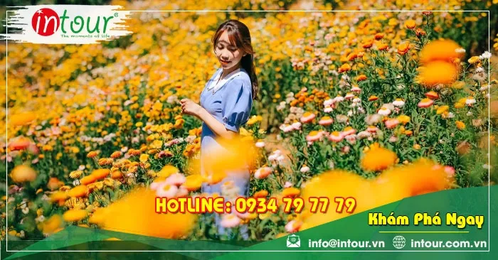 Tour Hà Nội - Phan Thiết - Đà  Lạt 2590000VNĐ (4 ngày 3 đêm)