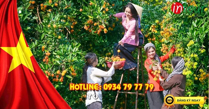 Tour lễ 30/4-1/5: Tour Miền Tây - Vĩnh Long 1 ngày 690000VNĐ/K