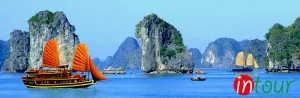 Du Lịch Tết 2023: Tour đi Hà Nội - Hạ Long - Sapa Tết Quý Mão 2023 giá rẻ nhất VN
