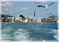 KHÁM PHÁ MÙA ĐÔNG – DU LỊCH HÀN QUỐC