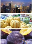 FRUIT LOGISTICA 2013 – HỘI CHỢ VỀ KINH DOANH HOA QUẢ