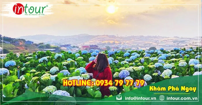 Tour cao cấp Đà Lạt KS 5*19980000VNĐ (3N2Đ) cho khách lẻ ghép đoàn khởi hành sáng thứ 3 & thứ 6 hàng tuần