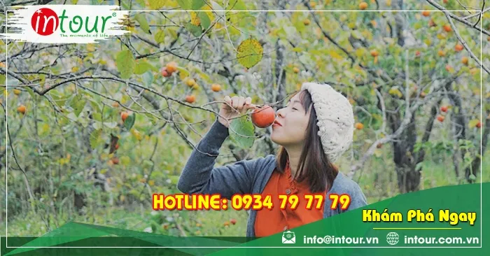 Tour giá rẻ Nha Trang - Đà Lạt 2.590.000VNĐ (4 ngày 4 đêm)