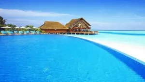 Tour Phú Yên đi bằng Tàu Hỏa (Xe Lửa) 5* 3100000VNĐ (3 ngày 4 đêm) 