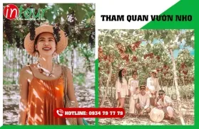 Tour Teambuilding Hậu Giang đi Ninh Chữ - Vĩnh Hy 1850000 Đ (03 ngày 03 đêm)