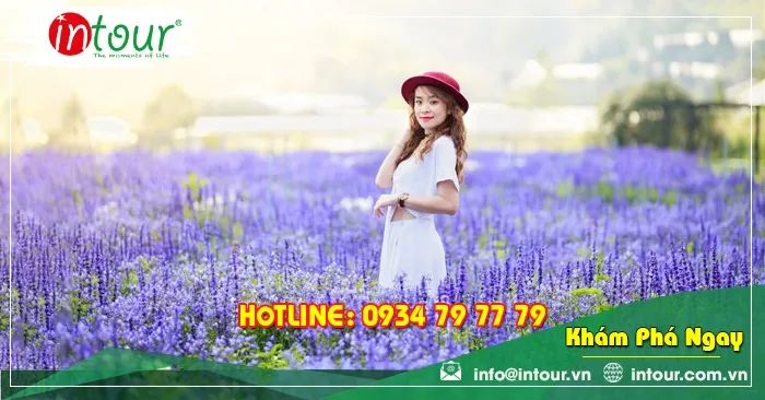 Tour Team Building Đà Lạt khởi hành từ Cà Mau 1950000VNĐ (03 ngày 03 đêm)