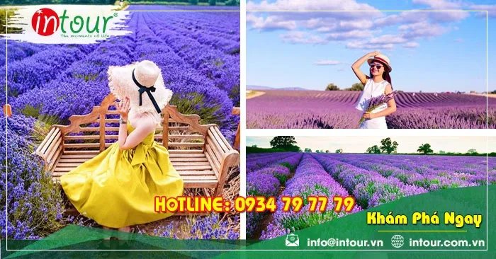 Tour Nha Trang - Đà Lạt khởi hành từ Cà Mau 2890000VNĐ (4N4Đ)