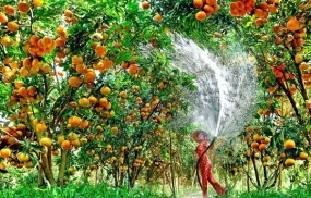 Tour giá rẻ Nghệ An (Vinh) - Miền Tây (4 ngày 3 đêm) - Giá tốt nhất VN