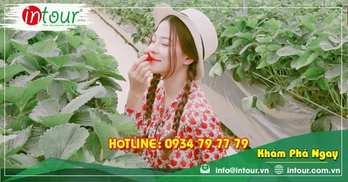 Tour giá rẻ Bắc Giang - Đà Lạt 1680000VNĐ (3 ngày 2 đêm)