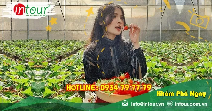 Tour giá rẻ Lào Cai - Đà Lạt 1680000VNĐ (3 ngày 2 đêm)