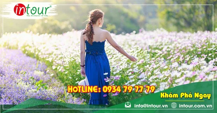 Tour giá rẻ Đà Nẵng - Đà Lạt 1680000VNĐ (3 ngày 2 đêm) 
