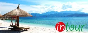 Du Lịch Tết 2023: Tour đi Đảo Nam Du (2 ngày 2 đêm) 1880000VNĐ
