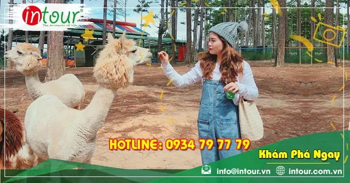 Tour giá rẻ  Đà Lạt 1990000VNĐ (03 ngày 03 đêm) khởi hành từ Rạch Giá - Kiên Giang