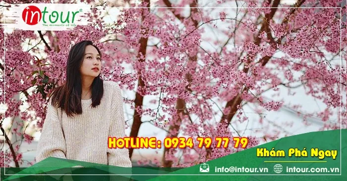 Tour Đà lạt đi Đà Nẵng - Hội An - Bà Nà - Huế 3.250.000VNĐ (4 ngày 3 đêm)